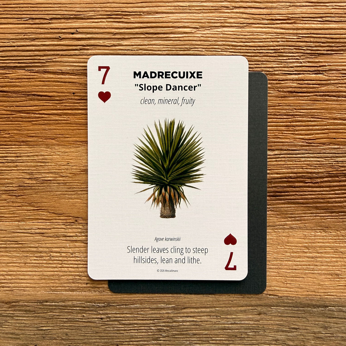 The Discovery Deck